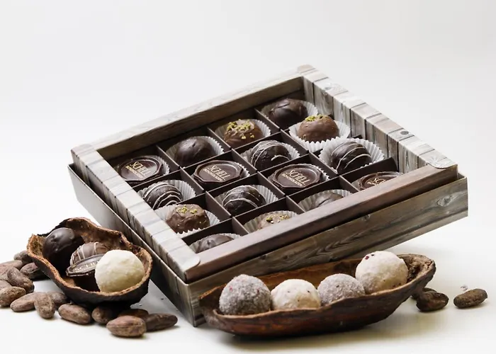 Hotel Schell Schokoladen Gundelsheim (Baden-Wurttemberg)