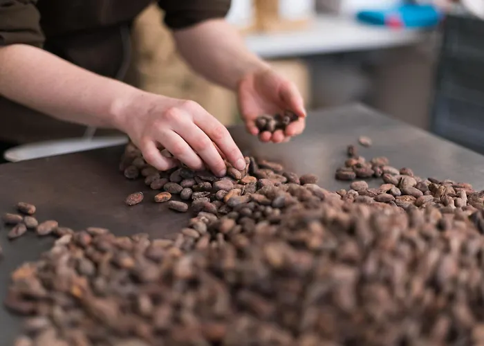 Schell Schokoladen * Gundelsheim (Baden-Wurttemberg)